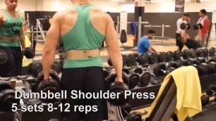 'Schulter Training/ Shoulder Workout'