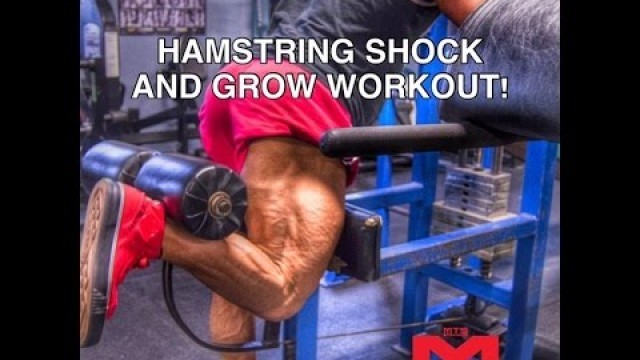 'Hamstring SHOCK AND GROW Workout You Must Try! | Tiger Fitness'