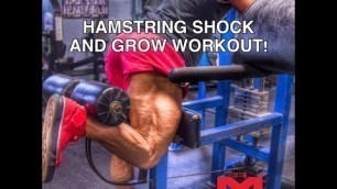 'Hamstring SHOCK AND GROW Workout You Must Try! | Tiger Fitness'