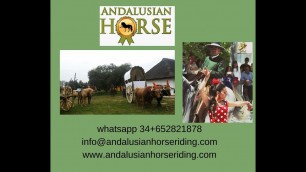 'Horses, andalusian culture ,cook and flamenco fitness.'