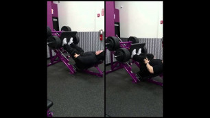 '750pds./800pds. leg press up in Planet Fitness  (Brownsville)'