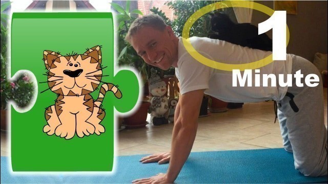 'Yoga mit Kater Benji - Erste gemeinsame Yogaübung - Majariasana - Die Katze - cat'