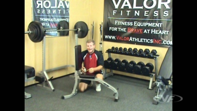 'Valor Fitness DG-2 Stationary Bench'