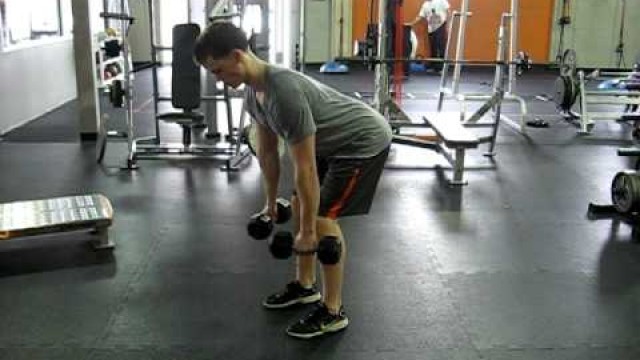 'Two Arm Dumbell Rows - FUEL Fitness'
