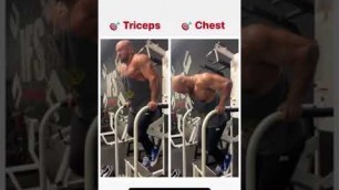 'triceps workout at chest workout in gym workout fitness Marshall workout motivation to gym #shorts'