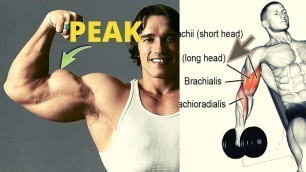 'BICEPS PEAK WORKOUT ( LOG HEAD ) / musculation du pic des biceps'