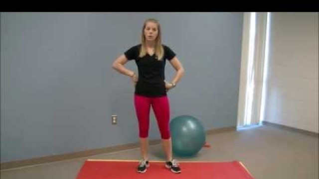 'At Home Back Exercises - Brenner FIT'