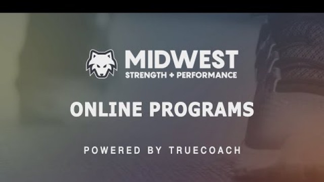 'MSP Online Programs'