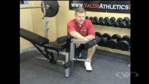 'Valor Fitness EX-1 Leg Lift Attachment'