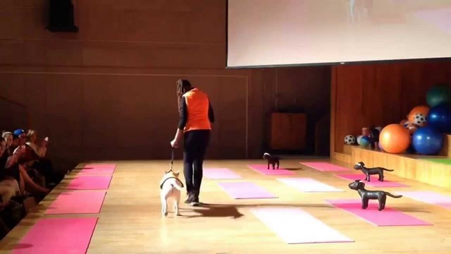 '6th Annual FIT Student Pet Fashion Show - segment 1 #barksmart'