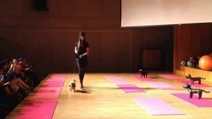 '6th Annual FIT Student Pet Fashion Show - Segment 2'