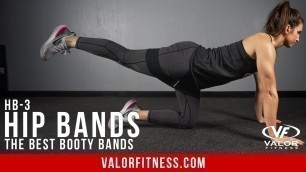 'Valor Fitness HB-3, Hip Bands'