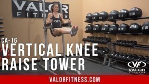 'Valor Fitness CA-16, Vertical Knee Raise Tower'