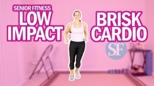 'Senior Fitness - Brisk Low Impact Cardio Exercises For Beginners | Easy To Follow! 