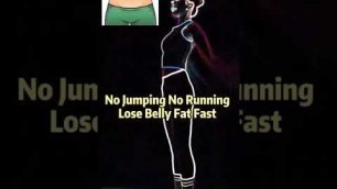 'Everyday exercise no jumping no running lose belly fat fast