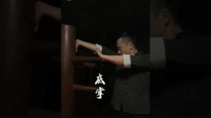 'martial_art_power_ _wing chun#short video//@fitness man'