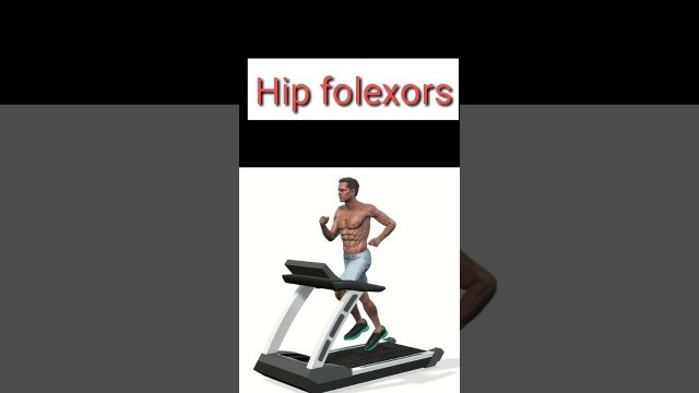 'Hip Folexors.  is the best fitness Man and woman.  #Hipfolexors #short #shortvideo /'