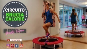 'Brucia Calorie e Modella i Muscoli con il Trampolino  - Percorso Piramidale   Rebounder Workout 01'