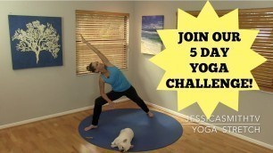 '30 Minute Yoga Stretch + Join Our 5 Day Yoga Challenge!'