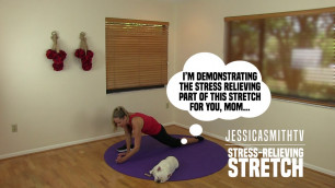 '18-Minute Total Body Stress Relieving Dynamic Stretch - No Equipment, All Levels (Great for Travel!)'