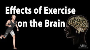 'Effects of Exercise on the Brain, Animation'